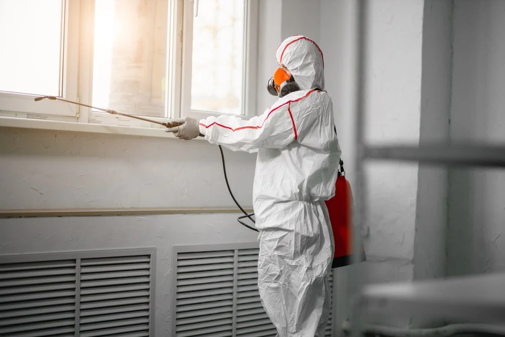 Professional mold remediation services in Williamson, GA